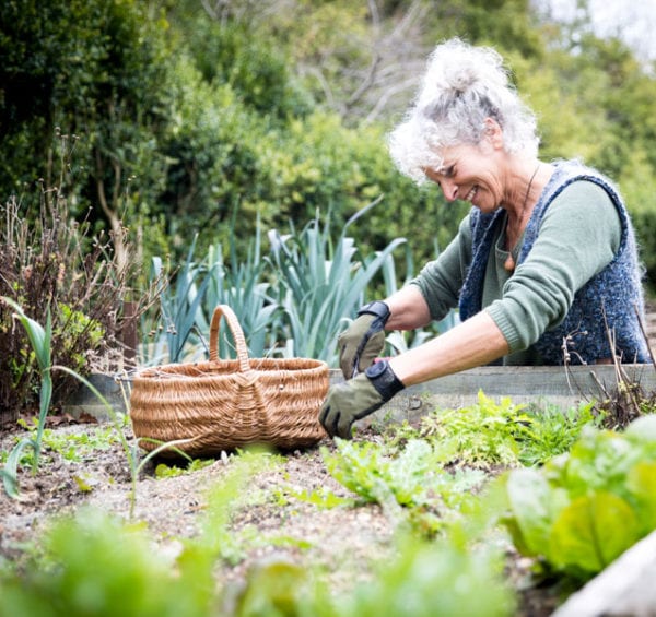 lady in spring gardening