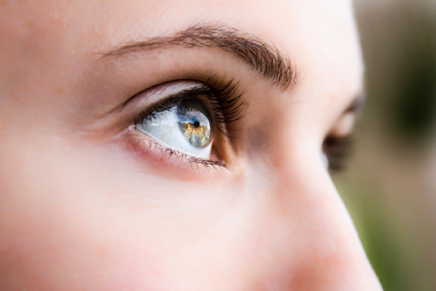 Family Eye Care And Eyewear Midwest Eye Consultants