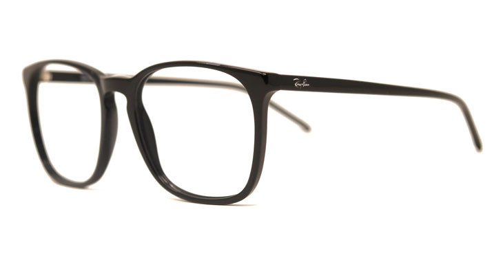 Ray-Ban RB5387 side view